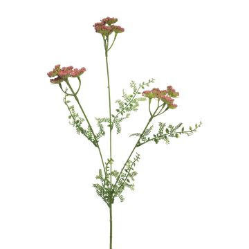 Decorative Yarrow Branch YISUAN, pink, 50cm, Ø6cm