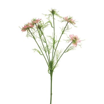 Decorative black cumin branch TIANKE, pink-cream, 65 cm, Ø 7–8 cm Decorative black cumin branch TIANKE, pink-cream, 65 cm, Ø 7–8 cm