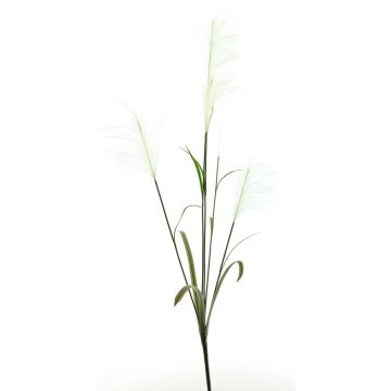 LINEN decorative pampas grass branch with plumes, white, 145cm LINEN decorative pampas grass branch with plumes, white, 145cm