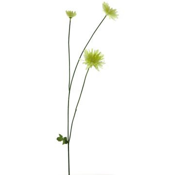 Decorative chrysanthemum YUNJUAN, cream, 60 cm Decorative chrysanthemum YUNJUAN, cream, 60 cm