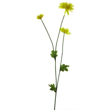 Decorative Chrysanthemum YUNJUAN, yellow, 60cm Decorative Chrysanthemum YUNJUAN, yellow, 60cm