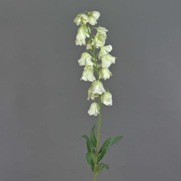 Decorative Bellflower LINMIN, cream, 95cm, Ø3–5cm Decorative Bellflower LINMIN, cream, 95cm, Ø3–5cm