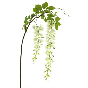 Ornamental wisteria branch LIANMU, cream, 5ft/140cm Ornamental wisteria branch LIANMU, cream, 5ft/140cm