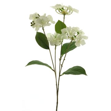 Artificial hydrangea PINNIAN, white, 70cm, Ø9–10cm Artificial hydrangea PINNIAN, white, 70cm, Ø9–10cm