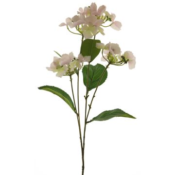 Artificial hydrangea PINNIAN, pale pink-cream, 70cm, Ø9–10cm
