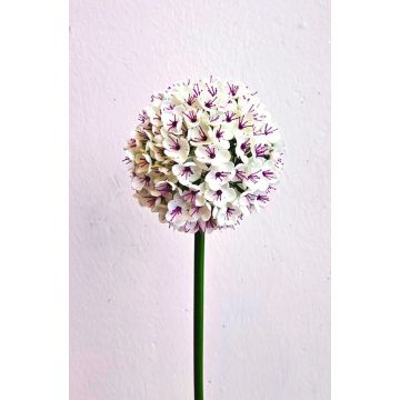 Artificial allium LOKJAN, white and purple, 70cm Artificial allium LOKJAN, white and purple, 70cm