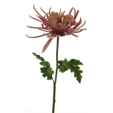 Artificial chrysanthemum ‘YASULI’, pink-lavender, 70 cm, Ø 18 cm Artificial chrysanthemum ‘YASULI’, pink-lavender, 70 cm, Ø 18 cm