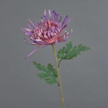 YASULI artificial chrysanthemum, purple-mauve, 70cm, Ø18cm YASULI artificial chrysanthemum, purple-mauve, 70cm, Ø18cm