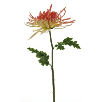 Artificial chrysanthemum YASULI, pink-yellow, 70cm, Ø18cm Artificial chrysanthemum YASULI, pink-yellow, 70cm, Ø18cm