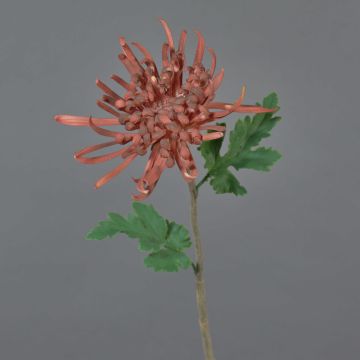 Artificial chrysanthemum YASULI, red-brown, 70 cm, Ø 18 cm Artificial chrysanthemum YASULI, red-brown, 70 cm, Ø 18 cm
