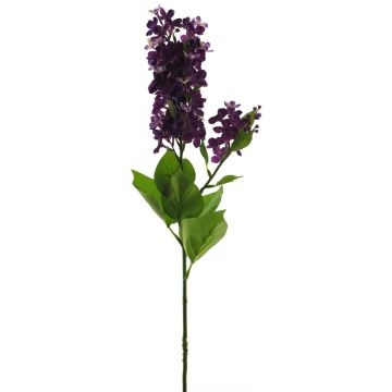 Decorative Lilac Flower NAJUAN, dark purple, 80cm, Ø6–8cm Decorative Lilac Flower NAJUAN, dark purple, 80cm, Ø6–8cm