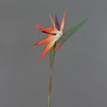 Plastic strelitzia flower ZAMIRA, orange-purple, 3ft/95cm, 6.3"x12"/16x30cm