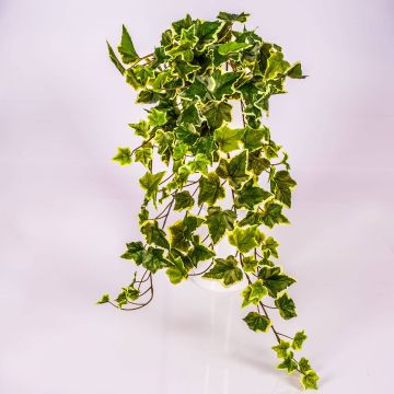 Artificial ivy plant MAJA on spike, green-white, 28"/70cm Artificial ivy plant MAJA on spike, green-white, 28"/70cm