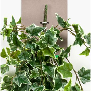 Artificial ivy plant MAJA on spike, green-white, 3ft/100cm
