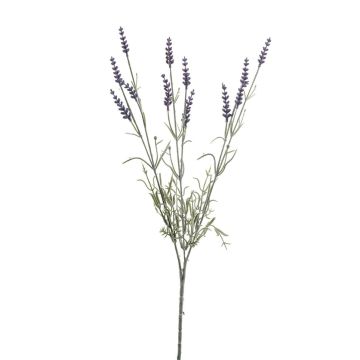 Artificial lavender sprig JELLE, purple, 70cm