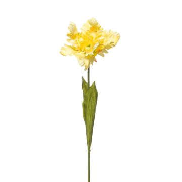 False flower Parrot tulip ALISCHA, yellow, 28"/70cm