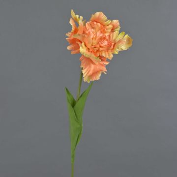 False flower Parrot tulip ALISCHA, orange, 28"/70cm