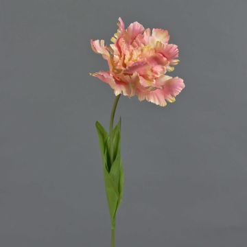 False flower Parrot tulip ALISCHA, peach, 28"/70cm