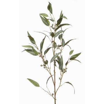 Artificial eucalyptus branch JURKA with fruits, green-grey, 4ft/115cm