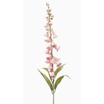 Artificial bellflower NEVLAR, light pink, 95cm, Ø10cm Artificial bellflower NEVLAR, light pink, 95cm, Ø10cm