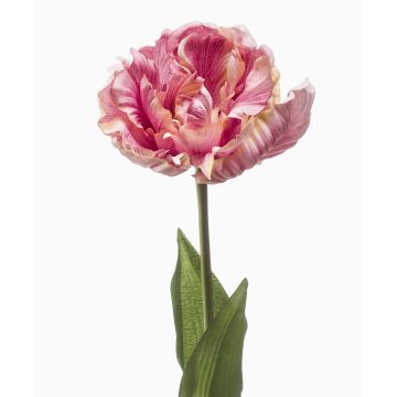False parrot tulip LIOMARA, light purple, 26"/65cm False parrot tulip LIOMARA, light purple, 26"/65cm