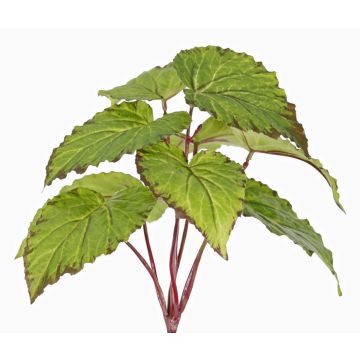 Decorative leaf begonia KATRICE for sticking, flame-retardant, green, 10"/25cm Decorative leaf begonia KATRICE for sticking, flame-retardant, green, 10"/25cm