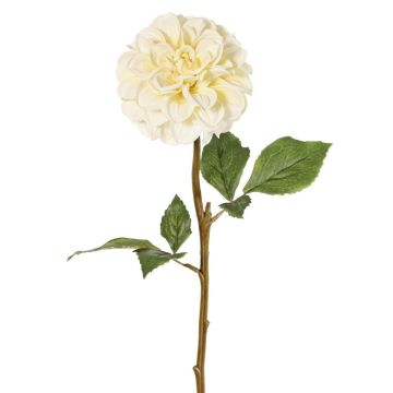 Artificial dahlia BREDANA, cream, 60cm, Ø11cm Artificial dahlia BREDANA, cream, 60cm, Ø11cm