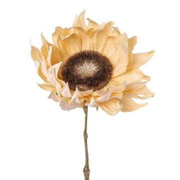 Artificial flower Sunflower CRUFT, dry look, cream, 24"/60cm