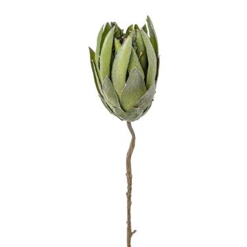 Artificial protea pin cushion LINDAR, green, 70cm Artificial protea pin cushion LINDAR, green, 70cm