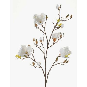 Artificial magnolia LILO, cream, 4ft/110cm, Ø 2"-3.5"/5-9cm Artificial magnolia LILO, cream, 4ft/110cm, Ø 2"-3.5"/5-9cm
