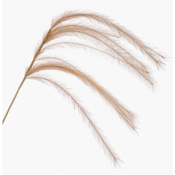 Decorative feather grass panicle branch LUMINIA, beige, 135cm Decorative feather grass panicle branch LUMINIA, beige, 135cm