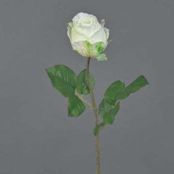 POPI decorative artificial rose, white and green, 55cm, Ø7cm