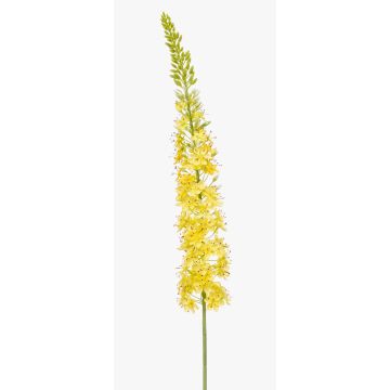 Large artificial flower: NITTI steppe candle, yellow, 130 cm Large artificial flower: NITTI steppe candle, yellow, 130 cm