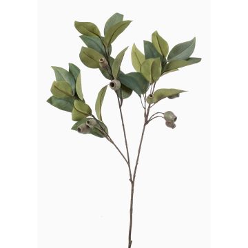 Artificial eucalyptus branch VIZIMIR with fruits, green, 80cm