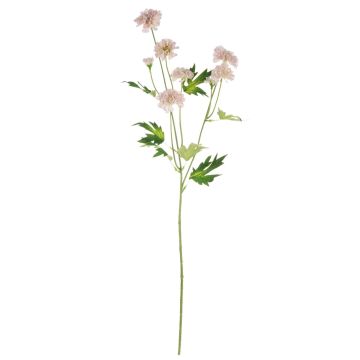 False flower branch Chrysanthemum REINHARDA, pink-white, 26"/65cm