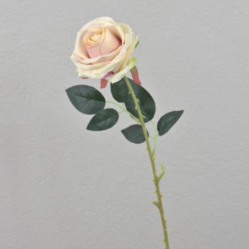 Artificial rose ELEAZAR, cream-pink, 65cm Artificial rose ELEAZAR, cream-pink, 65cm