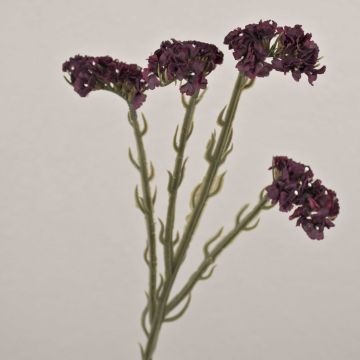 Decorative beach lavender flower AYISHA, dried look, dark violet, 26"/65cm, 1.4"x2.4"/3.5x6cm