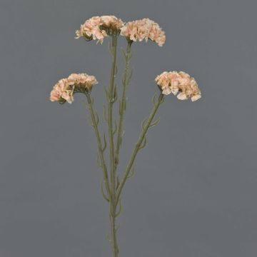 Decorative beach lavender flower AYISHA, dried look, cream-pink, 26"/65cm, 1.4"x2.4"/3.5x6cm