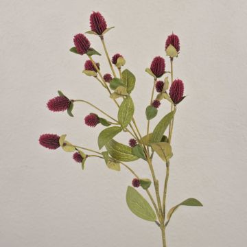 Artificial flower branch Globe amaranth TUSIUNE, dry look, burgundy red, 28"/70cm
