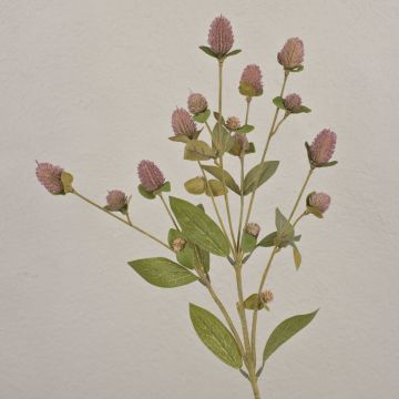 Artificial flower branch Globe amaranth TUSIUNE, dry look, dusky pink, 28"/70cm