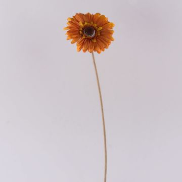 Decorative flower Gerbera TUNGUSKA, dry look, orange, 20"/50cm Decorative flower Gerbera TUNGUSKA, dry look, orange, 20"/50cm