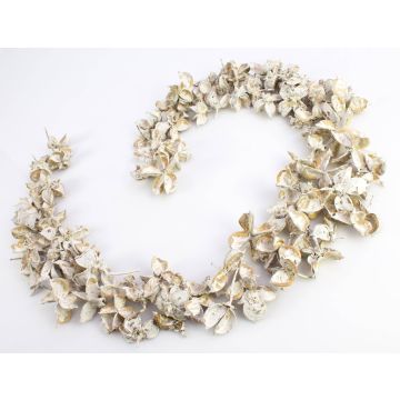 Cotton fruit husks set CANDY, whitewashed, 1.6"/4cm, Ø 2.4"/6cm