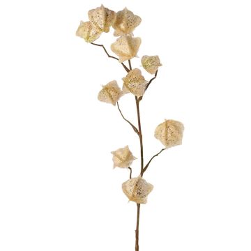 Faux Physalis branch AINOS, fruits, glitter, cream, 31"/80cm Faux Physalis branch AINOS, fruits, glitter, cream, 31"/80cm
