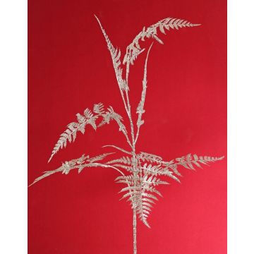 Artificial Asparagus plumosus branch GIONA, silver, 85cm Artificial Asparagus plumosus branch GIONA, silver, 85cm