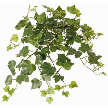 Artificial Ivy Hanger ARJANA, stick, crossdoor, green-white, 20"/50cm Artificial Ivy Hanger ARJANA, stick, crossdoor, green-white, 20"/50cm