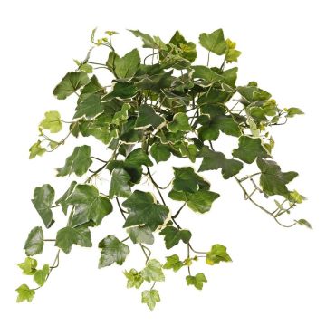 Artificial Ivy Hanger ARJANA, stick, crossdoor, green and white, 50cm Artificial Ivy Hanger ARJANA, stick, crossdoor, green and white, 50cm