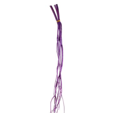 Decorative Mitsumata branches GERY, 3 pieces, dried, purple, 105 cm