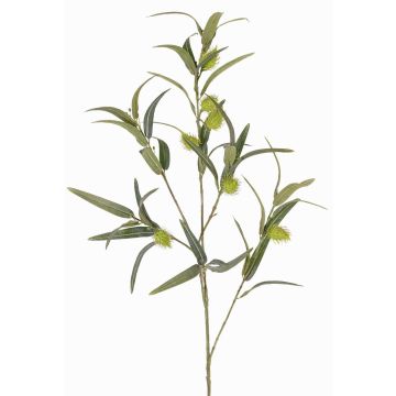 Faux balloon spurge branch TASMIN, fruits, green, 37"/95cm