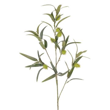 Artificial balloon spurge branch TASMIN, fruits, green, 95cm Artificial balloon spurge branch TASMIN, fruits, green, 95cm