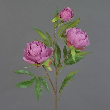 Artificial peony branch MANJA, dusky pink-fuchsia, 28"/70cm, Ø3.1"-4"/8-10cm
